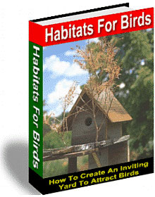 Birding For Everyone Package