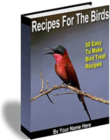 Birding For Everyone