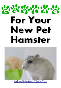 Caring For Your New Pet Hamster