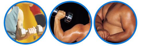 Muscle Building Mania – A Blueprint To Building A Body You Can Be Proud Of