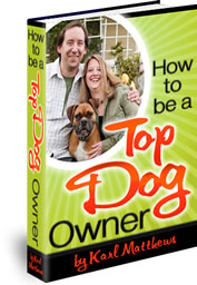 How To Be A Top Dog Owner 