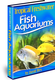 Tropical Freshwater Fish Aquariums