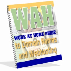 Working At Home for 21st Century Moms