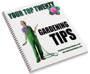 You Deserve The Lawn Of Your Dreams