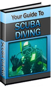 A Guide to Scuba Diving 2