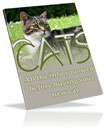 All About CATS
