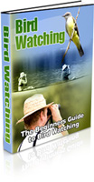 Bird Watching 