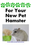Caring For Your New Pet Hamster