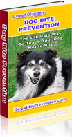 Dog Bite Prevention 