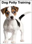 Dog Potty Training