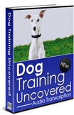 Dog Training Uncovered - Audio Transcription