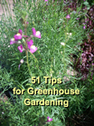 51 Tips for Greenhouse Gardening 