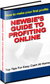 The Newbie's Guide To Profiting Online