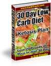 Ebook cover: 30 Day Low Carb Diet 'Ketosis Plan' [24]