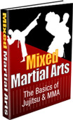 Mixed Martial Arts 3