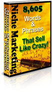 Ebook cover: Niche Marketing Words And Phrases That Sell Like Crazy!