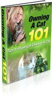 Owning A Cat 101