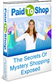 Ebook cover: Paid To Shop