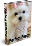 Perfect Puppy