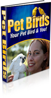 Pet Birds
