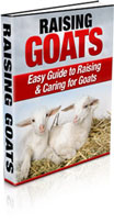 Raising Goats