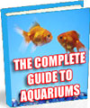 The COMPLETE guide to Aquariums