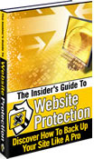The Insider's Guide To Website Protection