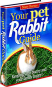 Your Pet Rabbit Guide 